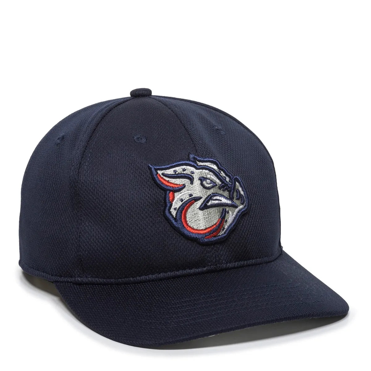 MiLB 350 Hat